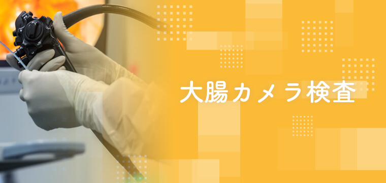 大腸カメラ