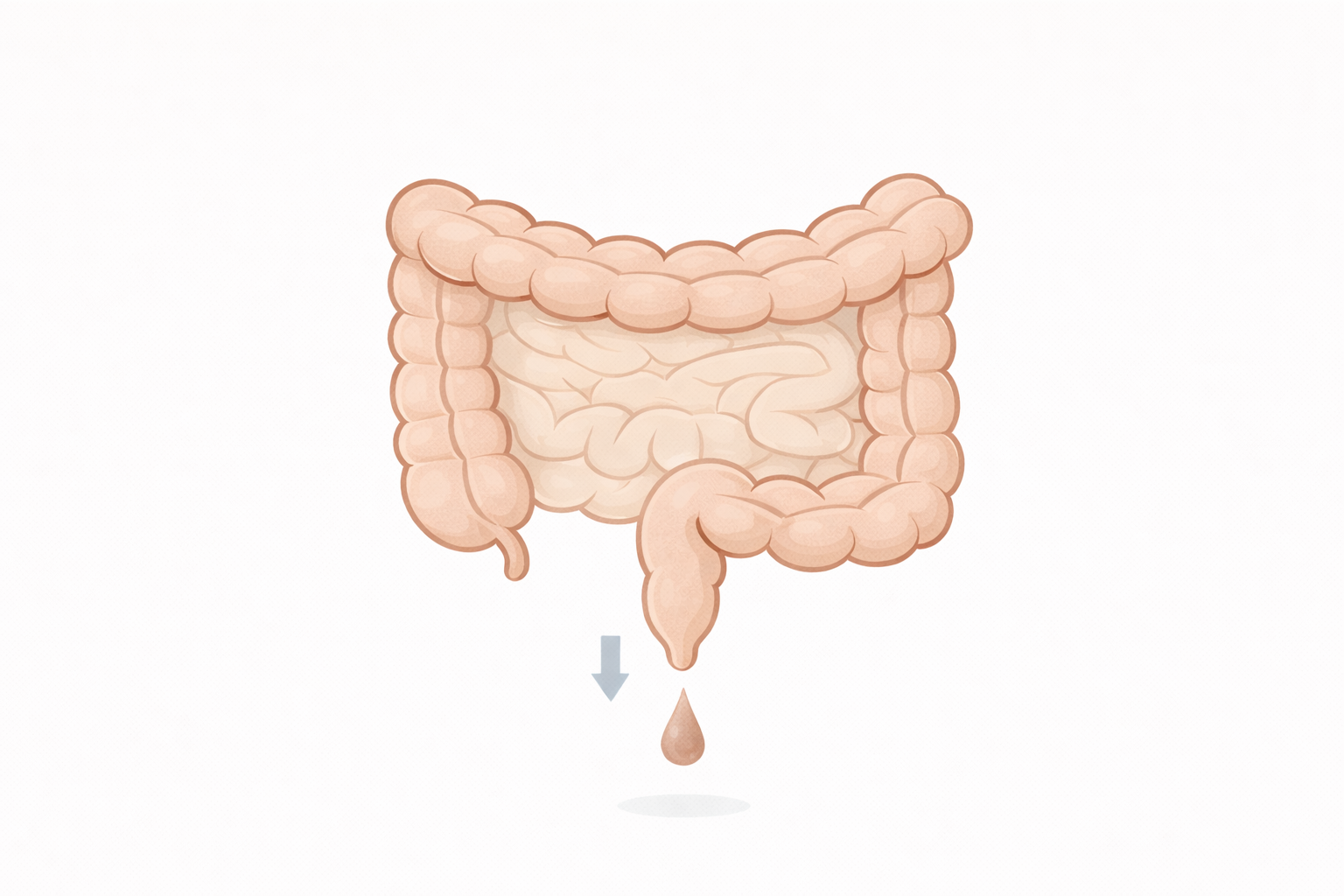 血便が出たら要注意?痔だけじゃない原因と受診の目安【医療コラム第8回】