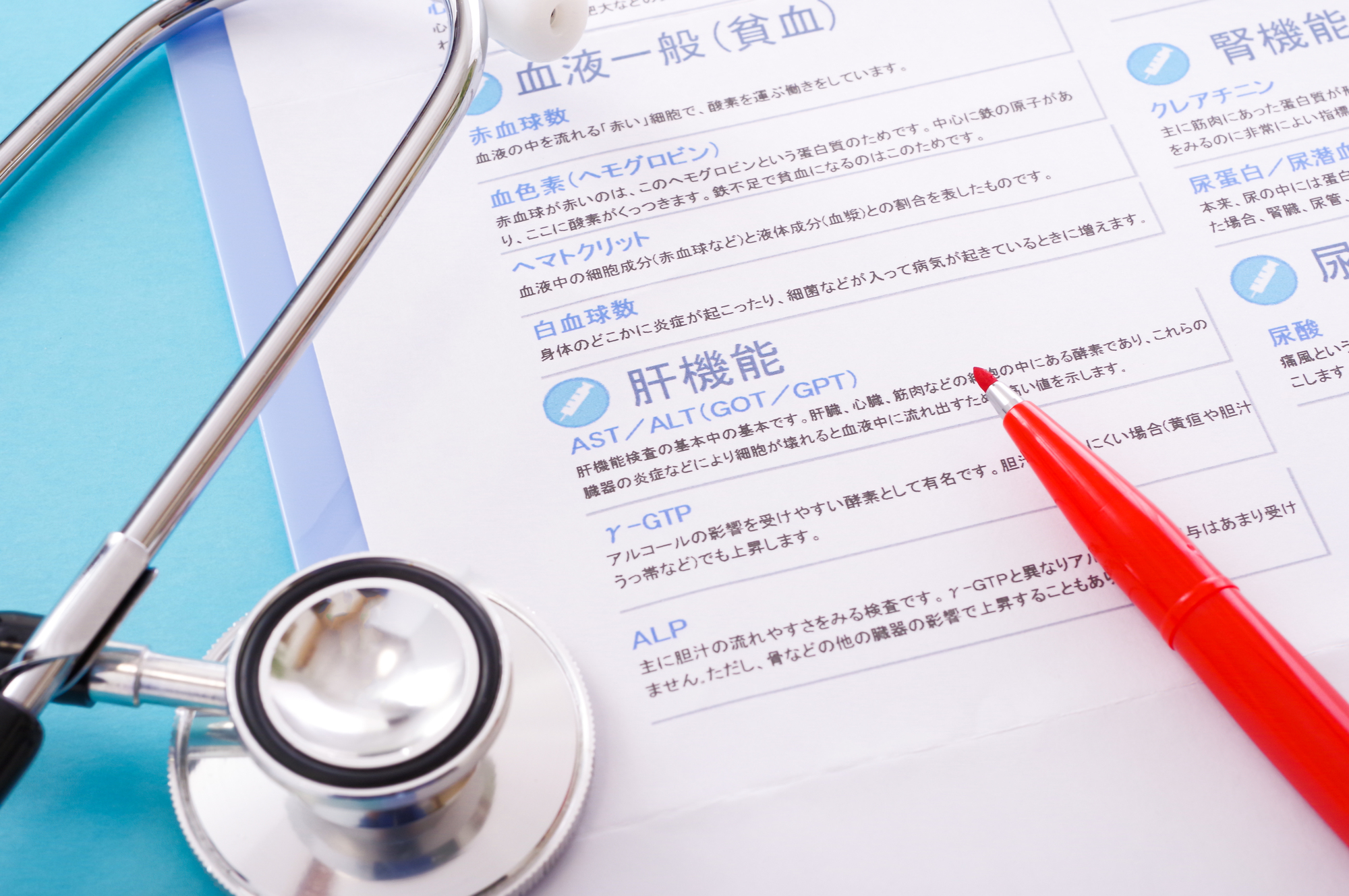 健診で肝機能異常を指摘されたら？｜ALT・AST・γ-GTPが高い原因と受診の目安【医療コラム第10回】