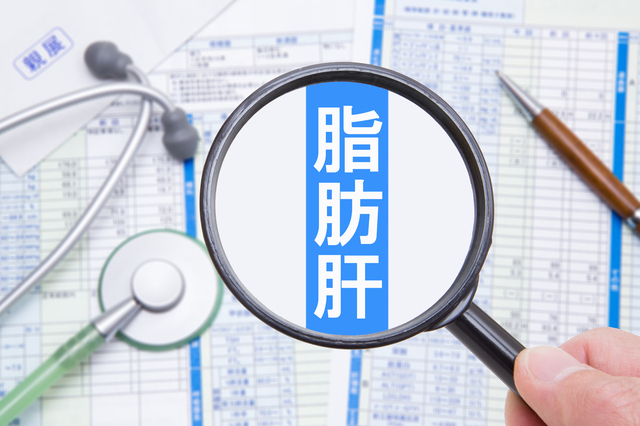 医療コラム第17回：脂肪肝はどこから治療が必要？「様子見」でいい人・注意が必要な人の違いとは