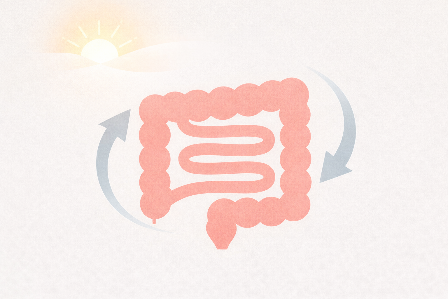 医療コラム第62回：朝だけ下痢になるのはなぜ？｜IBSとの関係と受診の目安