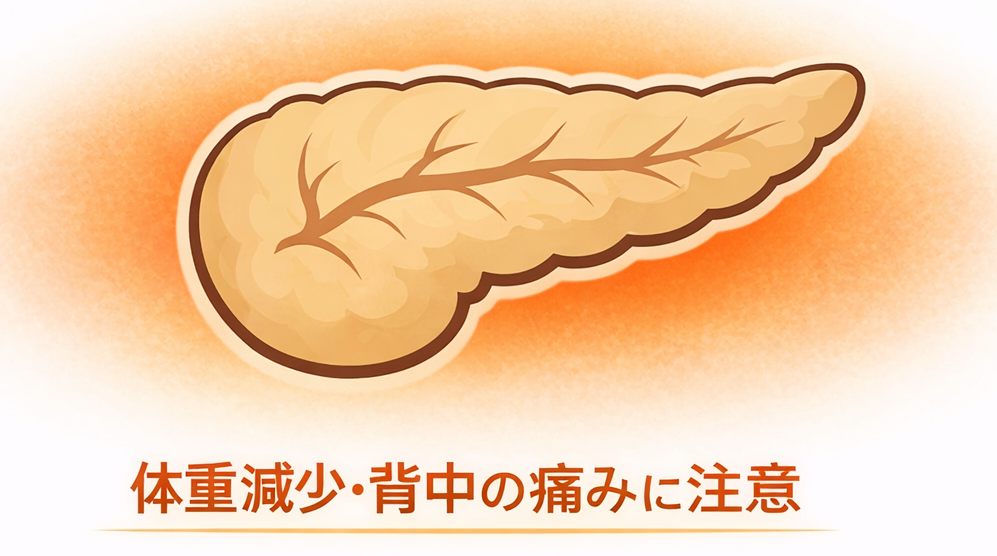 膵臓がんの初期症状とは？｜体重減少・背中の痛みは要注意【医療コラム第88回】