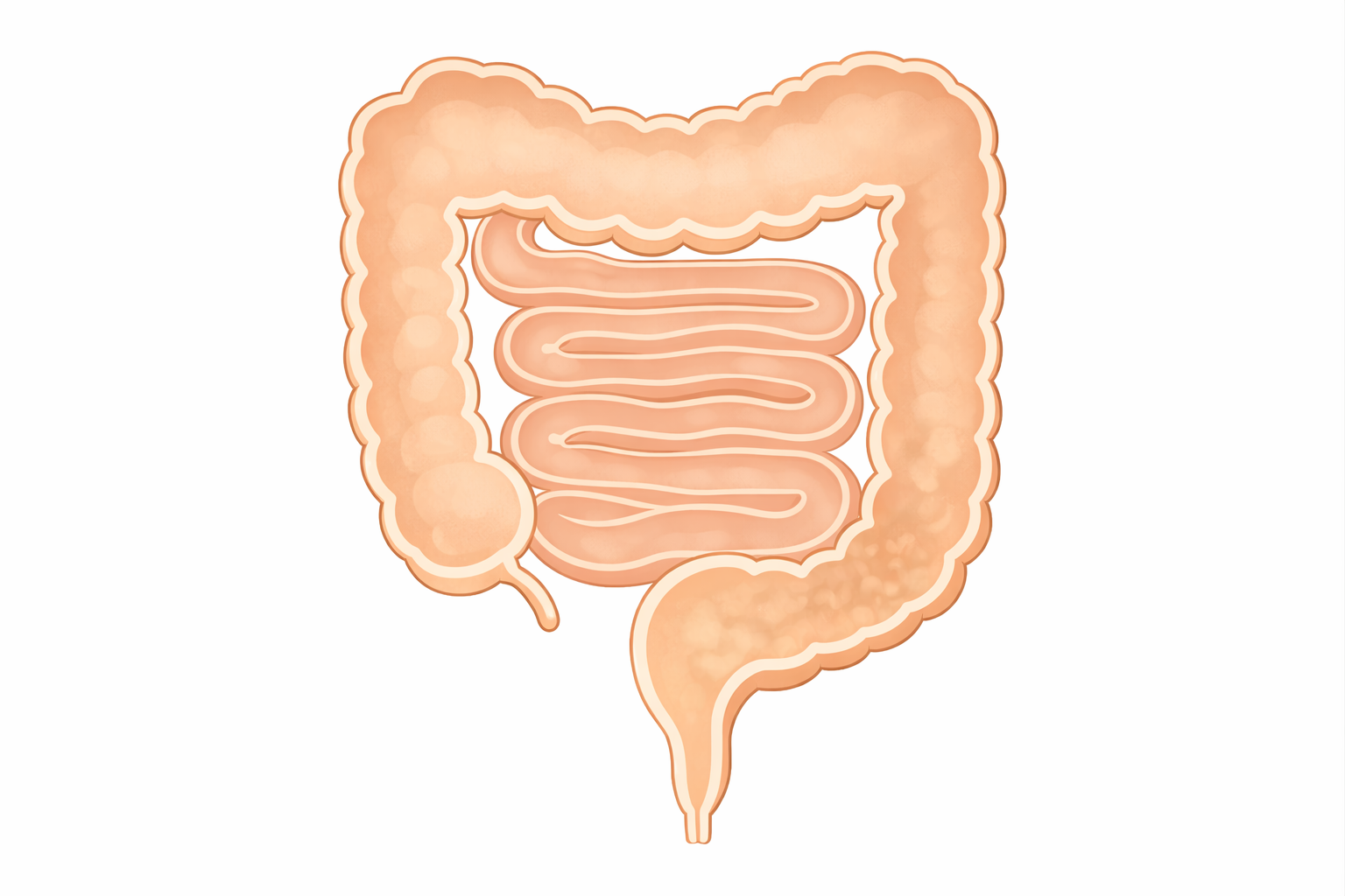 医療コラム第74回：便秘が続くときに考える原因｜様子を見ていい便秘と検査が必要な便秘