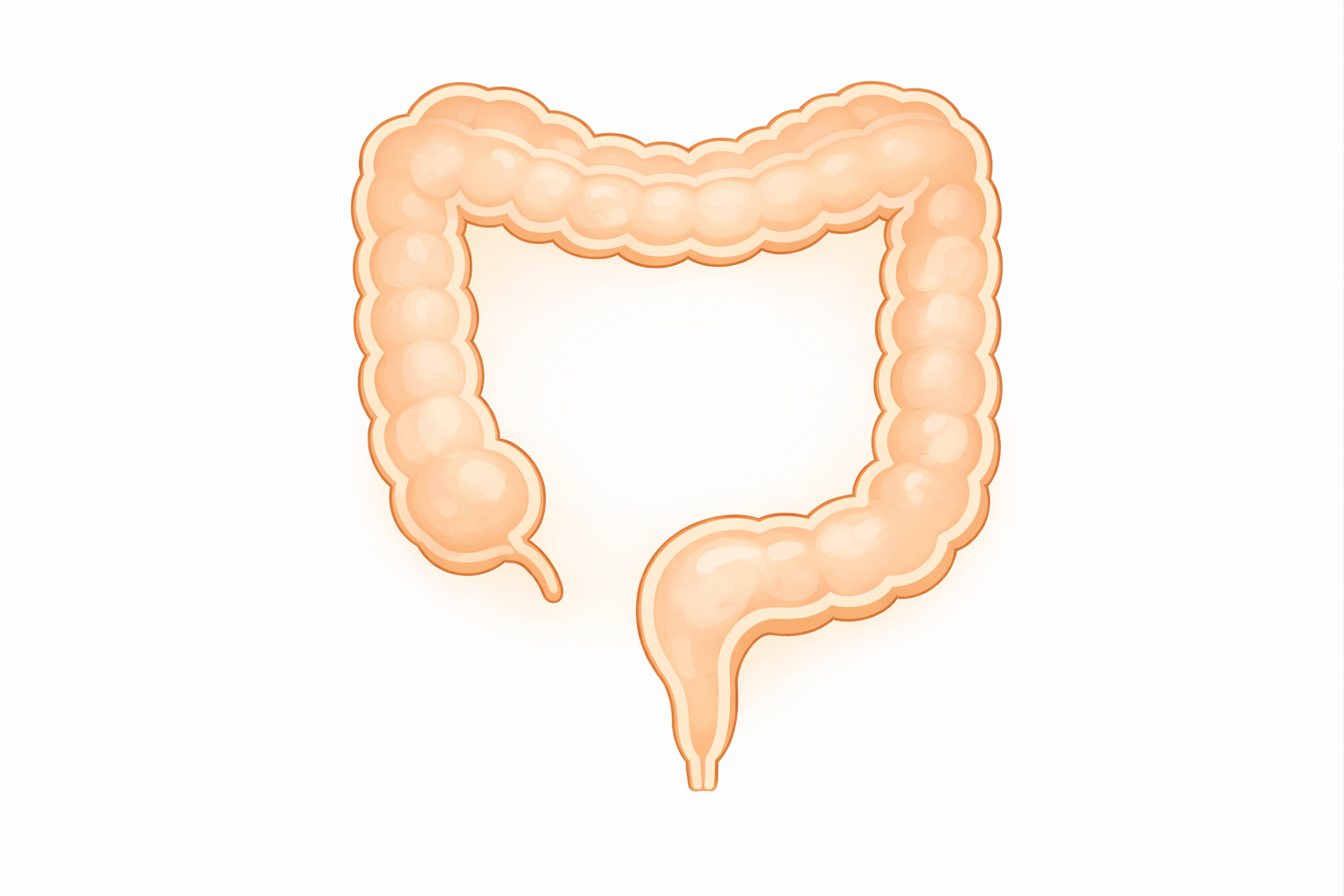 大腸カメラ前日の注意点｜食事・下剤・やってはいけないこと【医療コラム第95回】